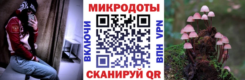 где найти Суоярви Псилоцибиновые грибы Cubensis